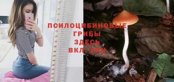 марихуана Белокуриха