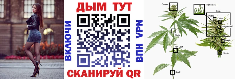 Каннабис планчик  дарк нет наркотические препараты  Володарск 